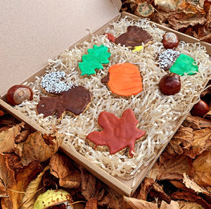 Autumn Box