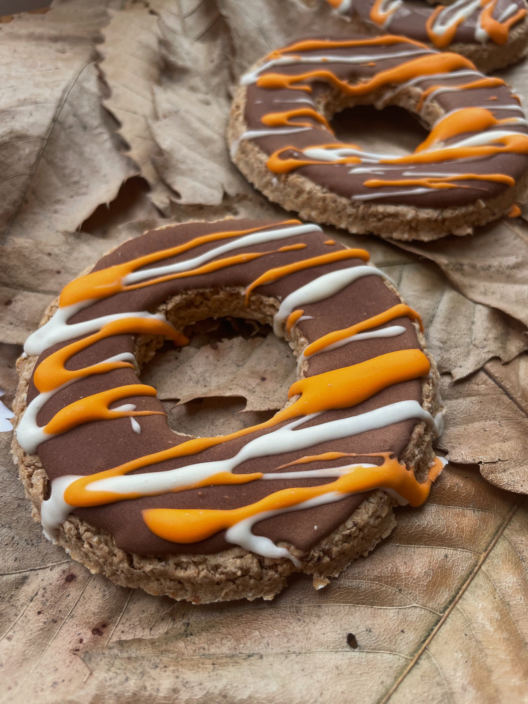 Autumnal Doughnuts